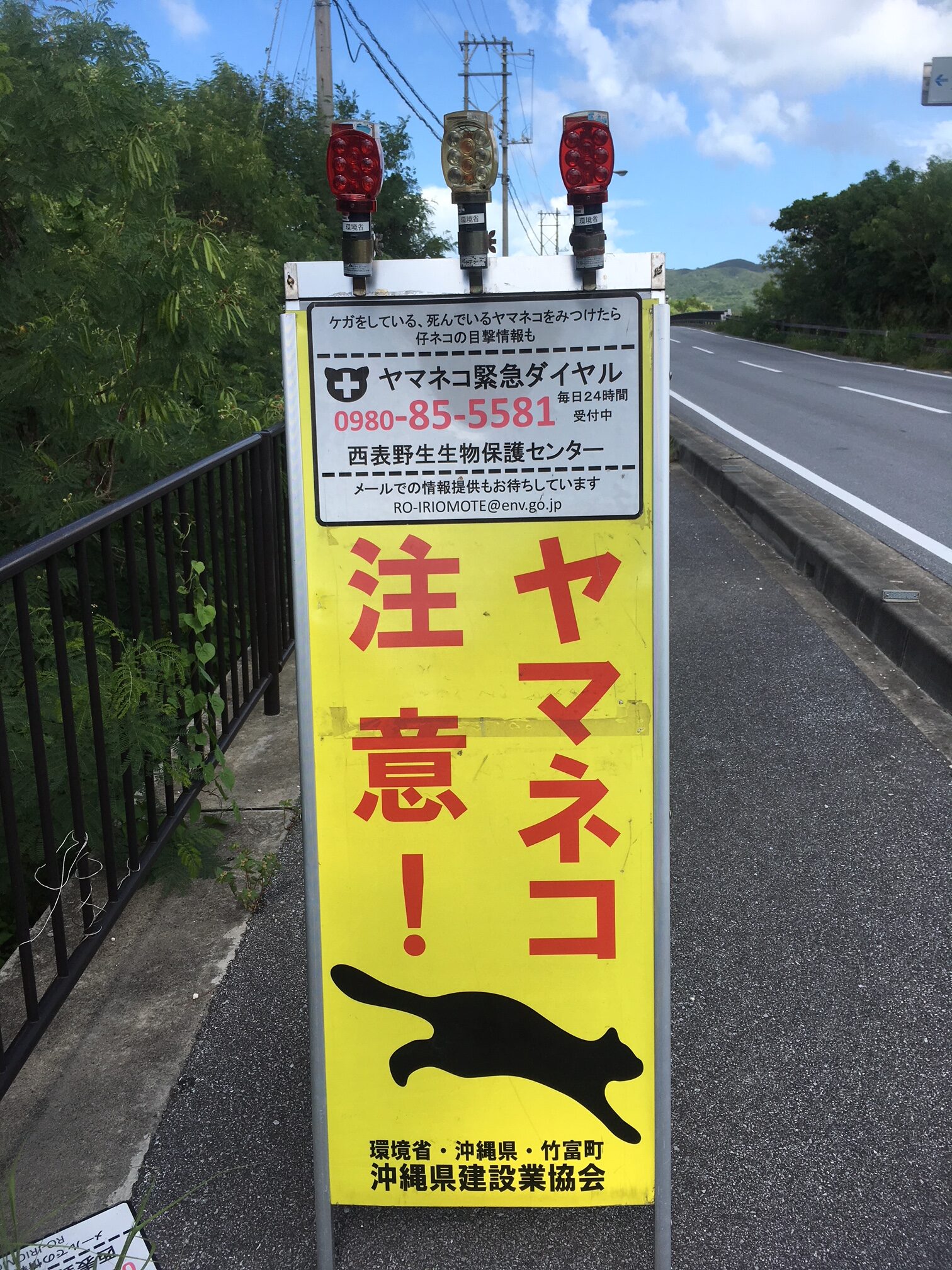 西表島のドライブ